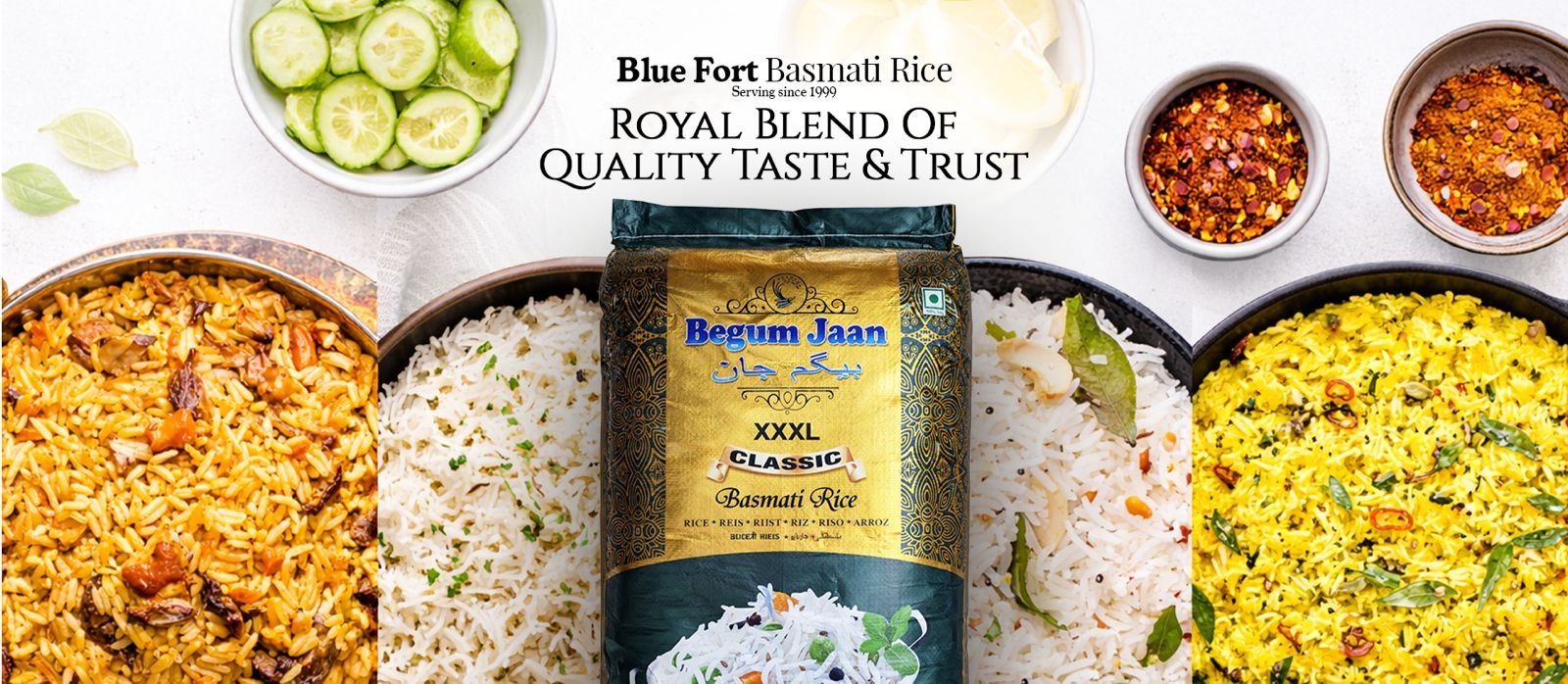 WhatsApp Image 2026-03-24 at 17.49.30